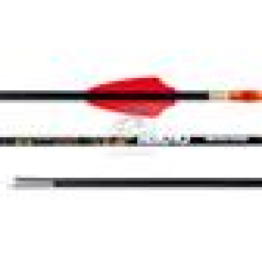 Sanlida Fertigpfeil Hero 10 Compound